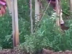 Spying Blonde Hooker Fucking In The Woods